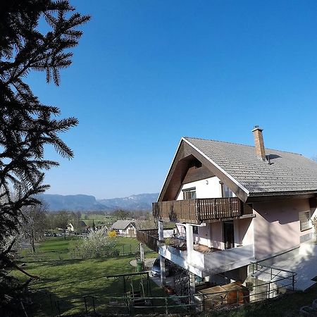 Lakeview Apartment Maja Near Bled Breznica エクステリア 写真